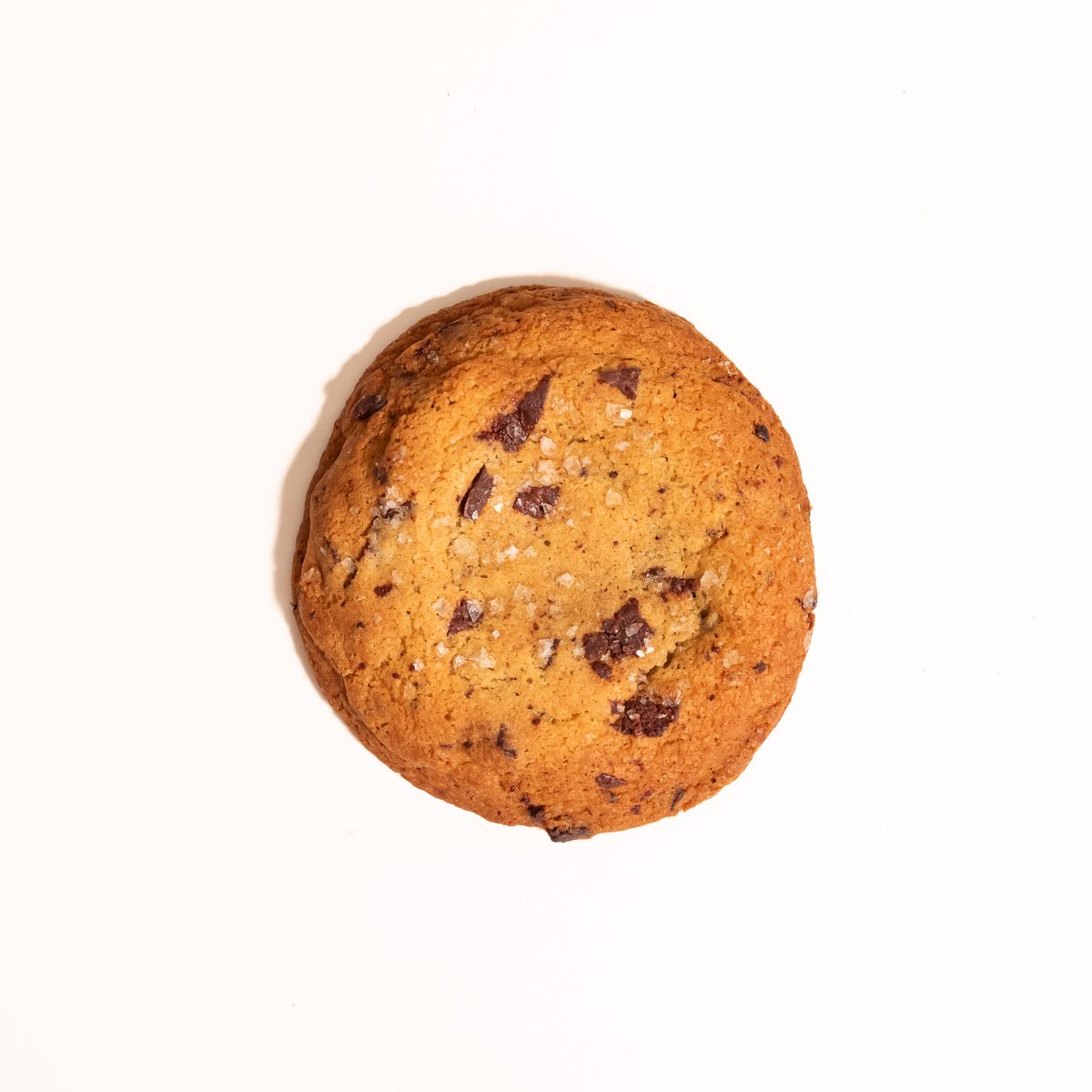 A chocolate chip cookie for the PDXCCF Chocolate Chip Cookie Competition