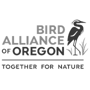Bird Alliance of Oregon