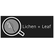 Lichen + Leaf